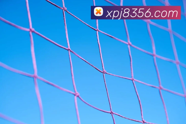 奖项4